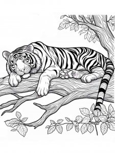 Tiger coloring page - picture 19