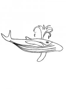 Whale coloring page - picture 11