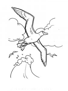 Albatross coloring page - picture 2
