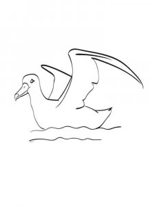 Albatross coloring page - picture 3
