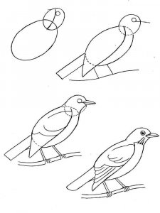 Blackbird coloring page - picture 2