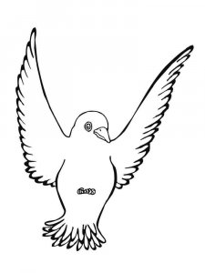 Blackbird coloring page - picture 4