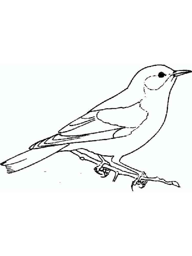 ohio state bird coloring pages - photo #11