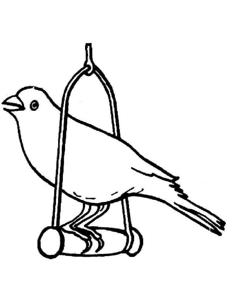 Canary Coloring Pages Download Print Birds 13 Bird Cages