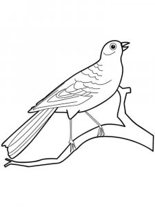 Canary coloring page - picture 10