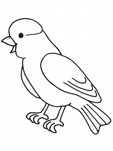 Canary coloring page - picture 15
