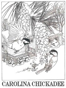 Chickadee coloring page - picture 7