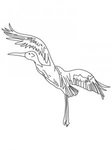 Crane bird coloring page - picture 12