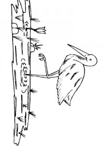 Crane bird coloring page - picture 14