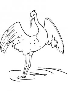 Crane bird coloring page - picture 15