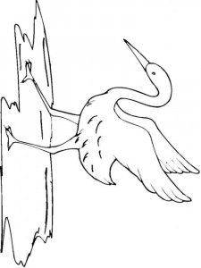 Crane bird coloring page - picture 4