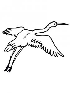 Crane bird coloring page - picture 5