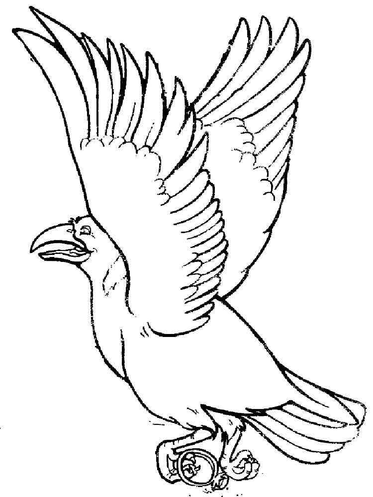 Crows Coloring Pages Download Print Birds 7 Raven