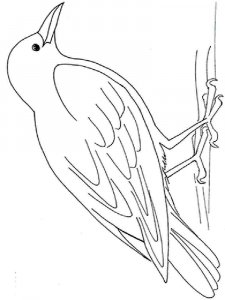 Crow coloring page - picture 20