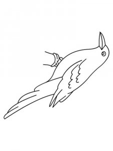 Crow coloring page - picture 21