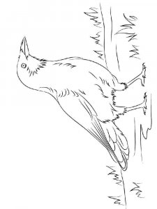 Crow coloring page - picture 23