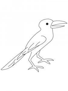 Crow coloring page - picture 24
