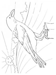 Crow coloring page - picture 27