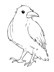 Crow coloring page - picture 12