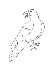 Crow coloring page - picture 2