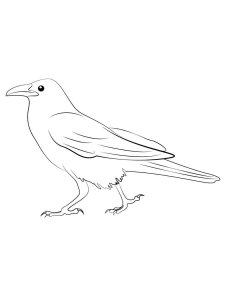 Crow coloring page - picture 4