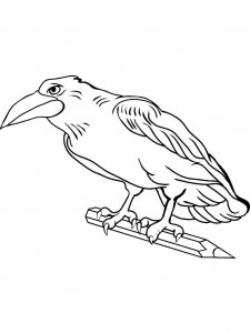 Crow coloring page - picture 7