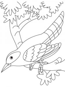 Cuckoo coloring page - picture 6