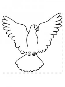 Dove coloring page - picture 14