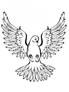 Dove coloring page - picture 31