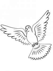 Dove coloring page - picture 33