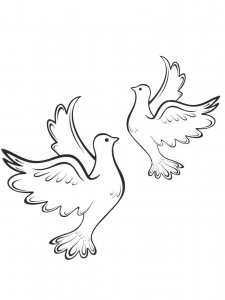 Dove coloring page - picture 9