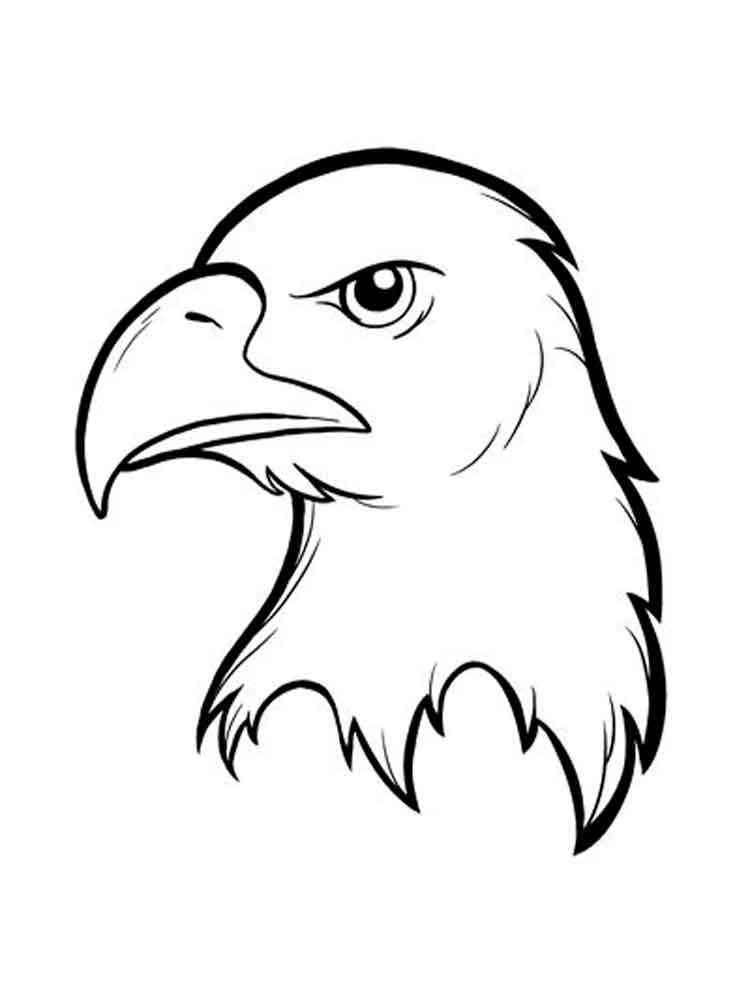 Eagle Coloring Pages Download Print Birds 1 Martial