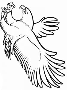 Eagle coloring page - picture 11