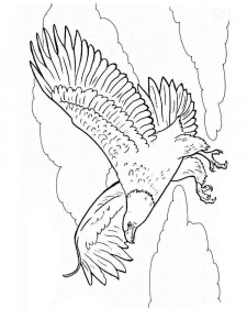 Eagle coloring page - picture 12