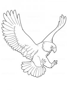 Eagle coloring page - picture 13