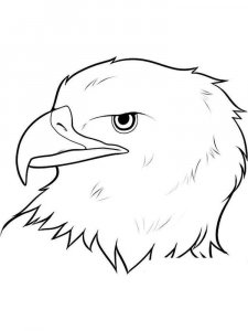 Eagle coloring page - picture 16