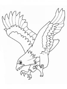 Eagle coloring page - picture 20