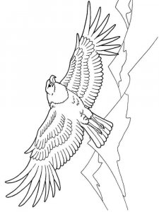 Eagle coloring page - picture 3