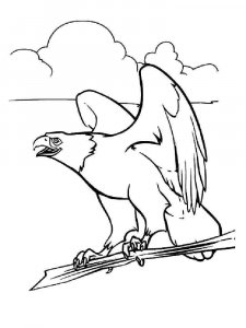 Eagle coloring page - picture 4
