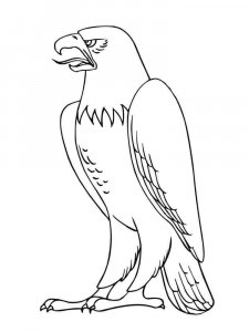 Eagle coloring page - picture 6