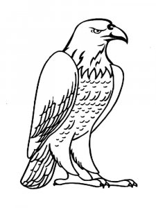 Eagle coloring page - picture 24