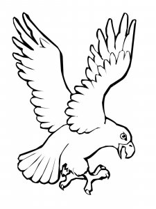 Eagle coloring page - picture 33