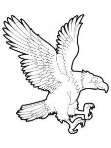 Eagle coloring page - picture 35