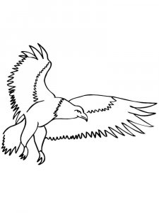 Eagle coloring page - picture 36