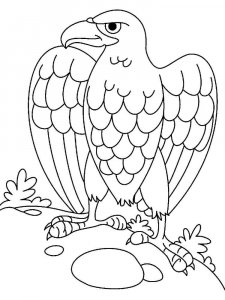 Eagle coloring page - picture 37