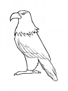 Eagle coloring page - picture 26