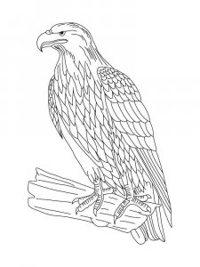 Eagle coloring page - picture 27