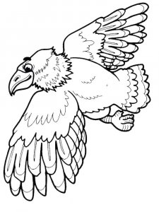 Eagle coloring page - picture 31