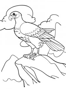 Eagle coloring page - picture 32