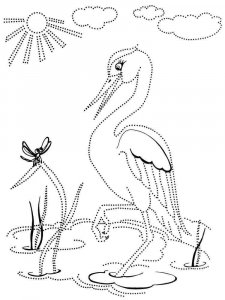 Egret coloring page - picture 1